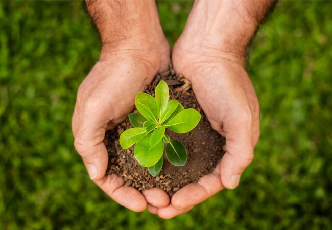 Demolidora parceira do meio ambiente